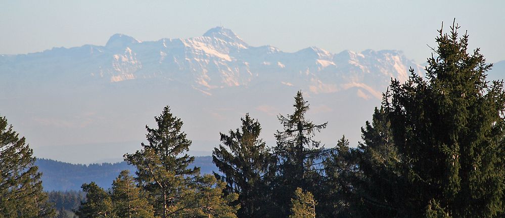 101 km weiter Blick zum 2503 Meter hohen Säntis, Altmann und vielen anderen