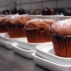 101 Muffins