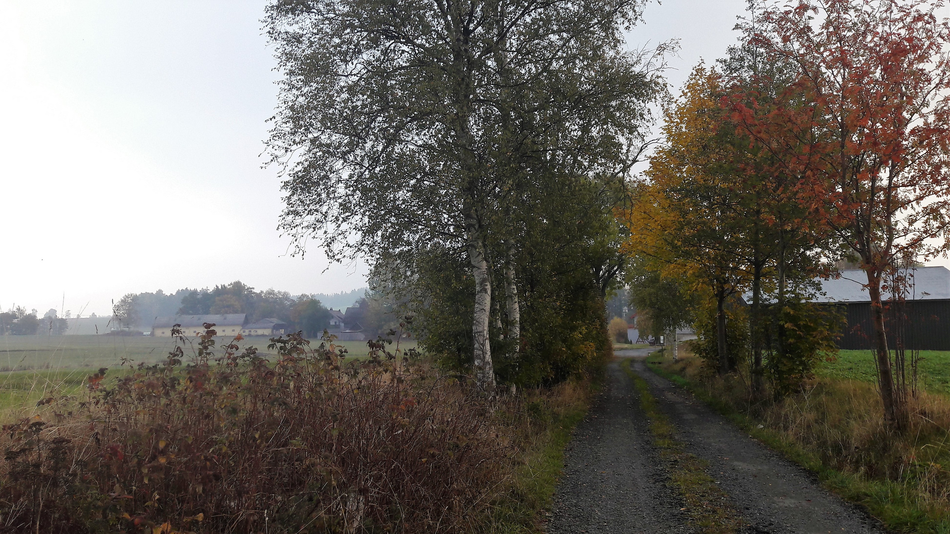 10.10.2018  auf dem Weg ins Dorf Lösten OT Zell im Fichtelgebirge