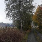 10.10.2018  auf dem Weg ins Dorf Lösten OT Zell im Fichtelgebirge