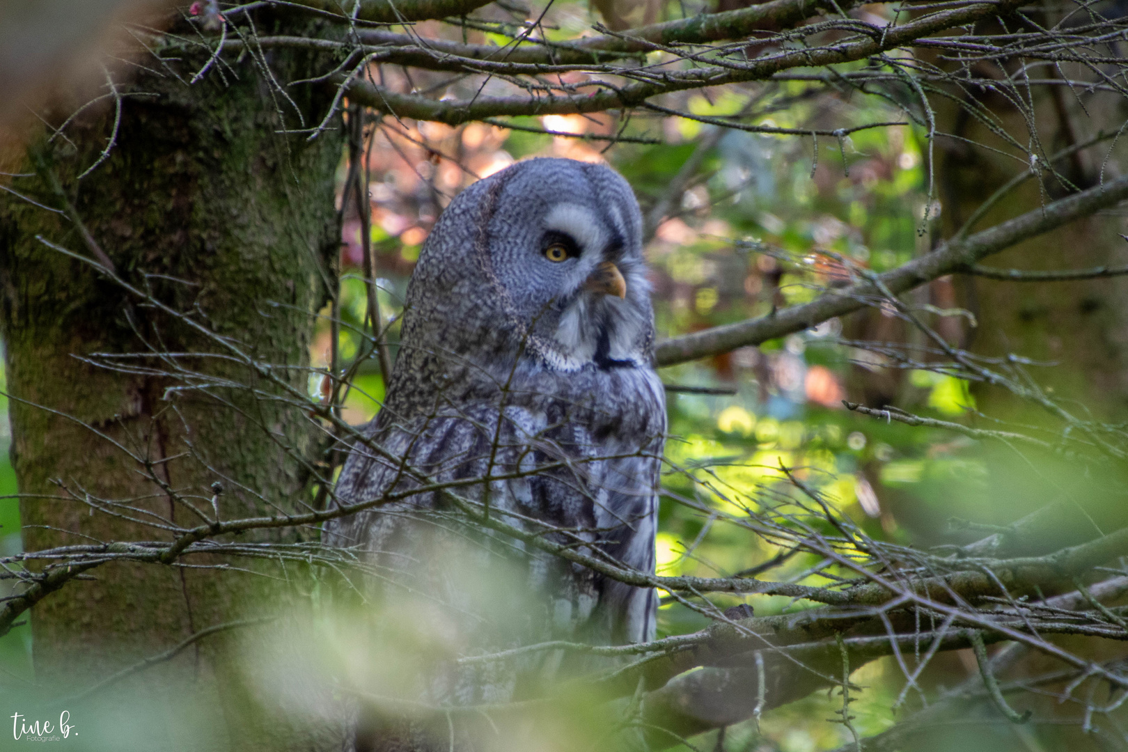 10.10.21 Wildpark Bad Mergentheim (21)