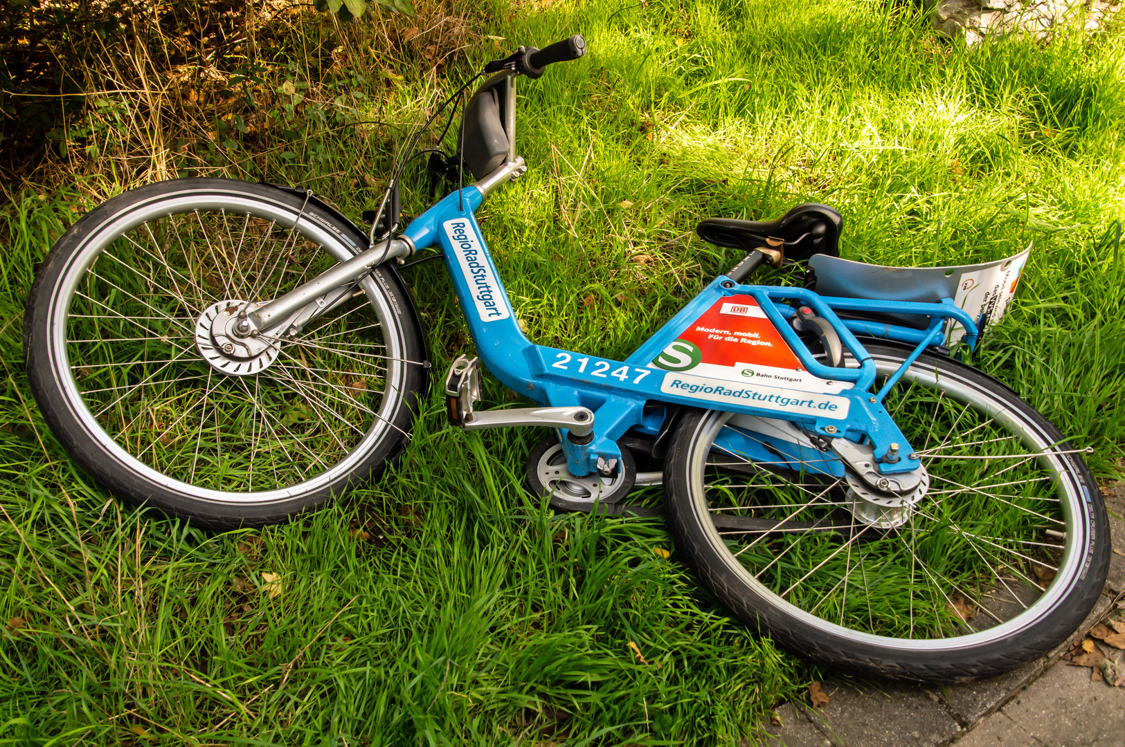 10.10.22 Blue Monday - Blaues Fahrrad im grünen Gras