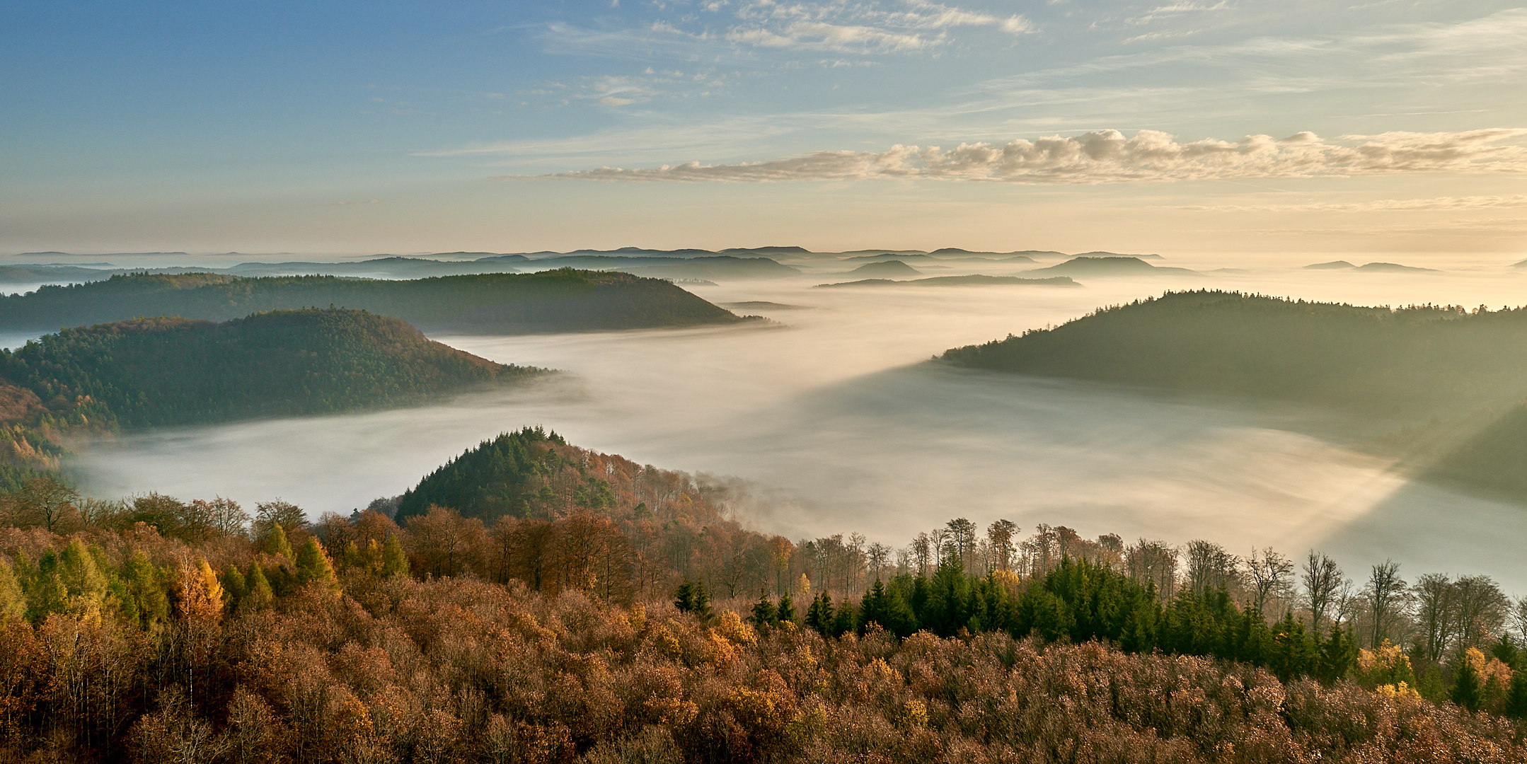 10.11.2020 um 8 Uhr 20, ein Traum von Tagesbeginn, die Licht-Nebelstimmung...