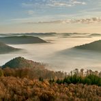 10.11.2020 um 8 Uhr 20, ein Traum von Tagesbeginn, die Licht-Nebelstimmung...