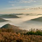 10.11.2020 um 8 Uhr 20, ein Traum von Tagesbeginn, die Licht-Nebelstimmung...