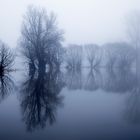 1018F Weserüberschwemmung - Ruhe am Morgen