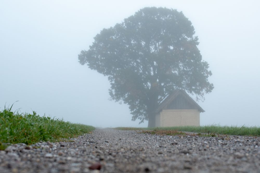 10.2 Herbst - Nebel