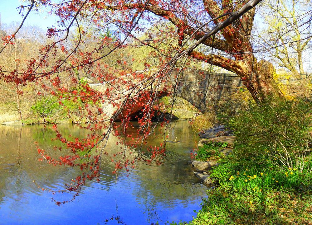 Motley Bridge von clubagentin 