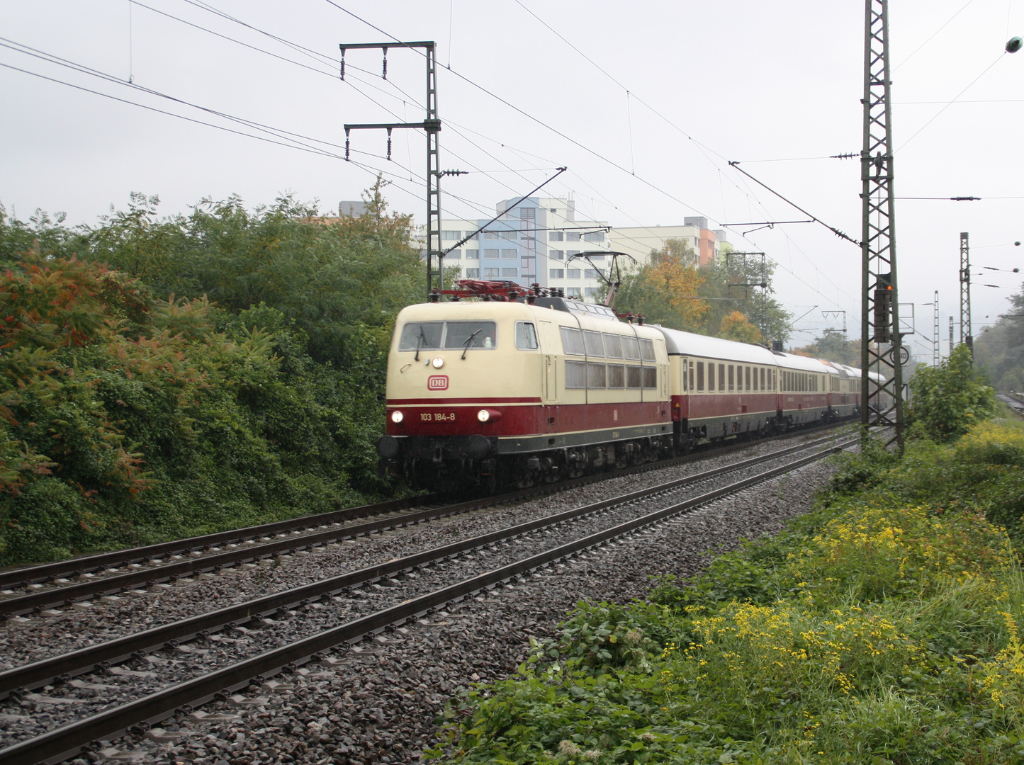 103 184-8 mit TEE in Freiburg