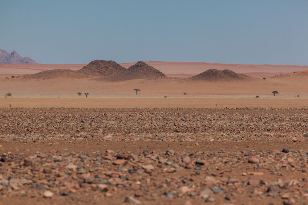 Namib Rand Steinwüste von Frank Halbleib