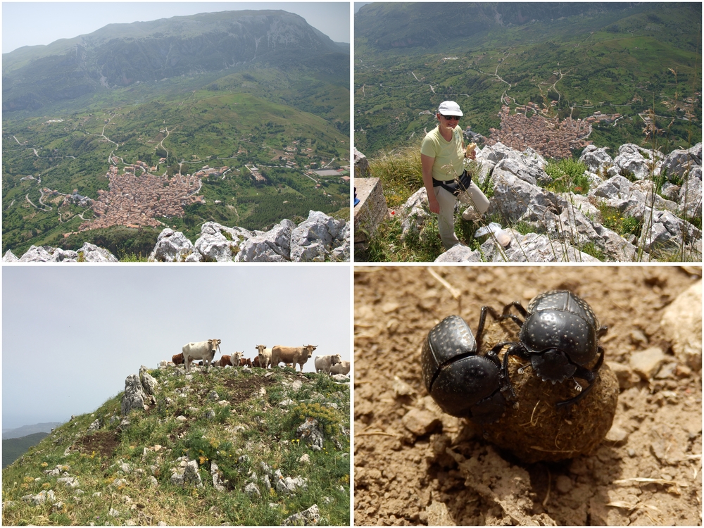 10.5. Wanderung in der Madonie (3)