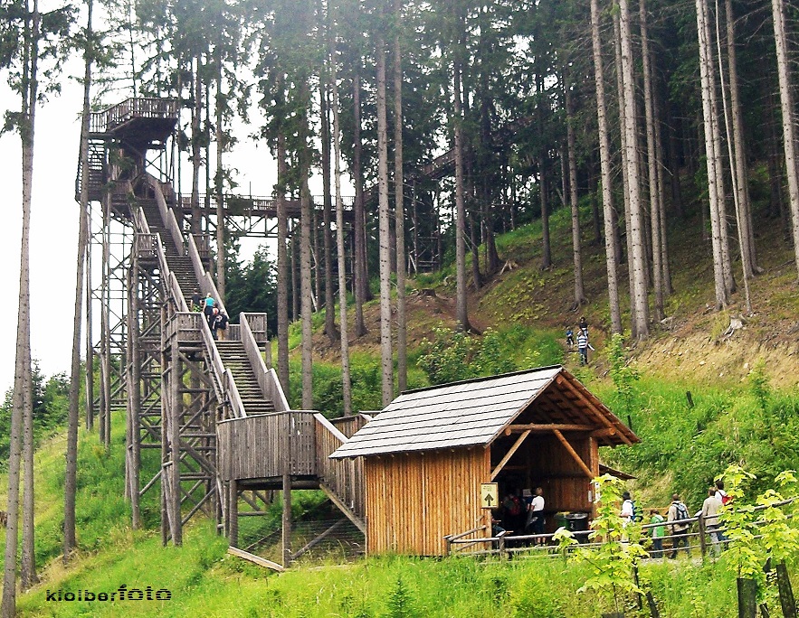 (105) wipfelwanderweg 2 rachau