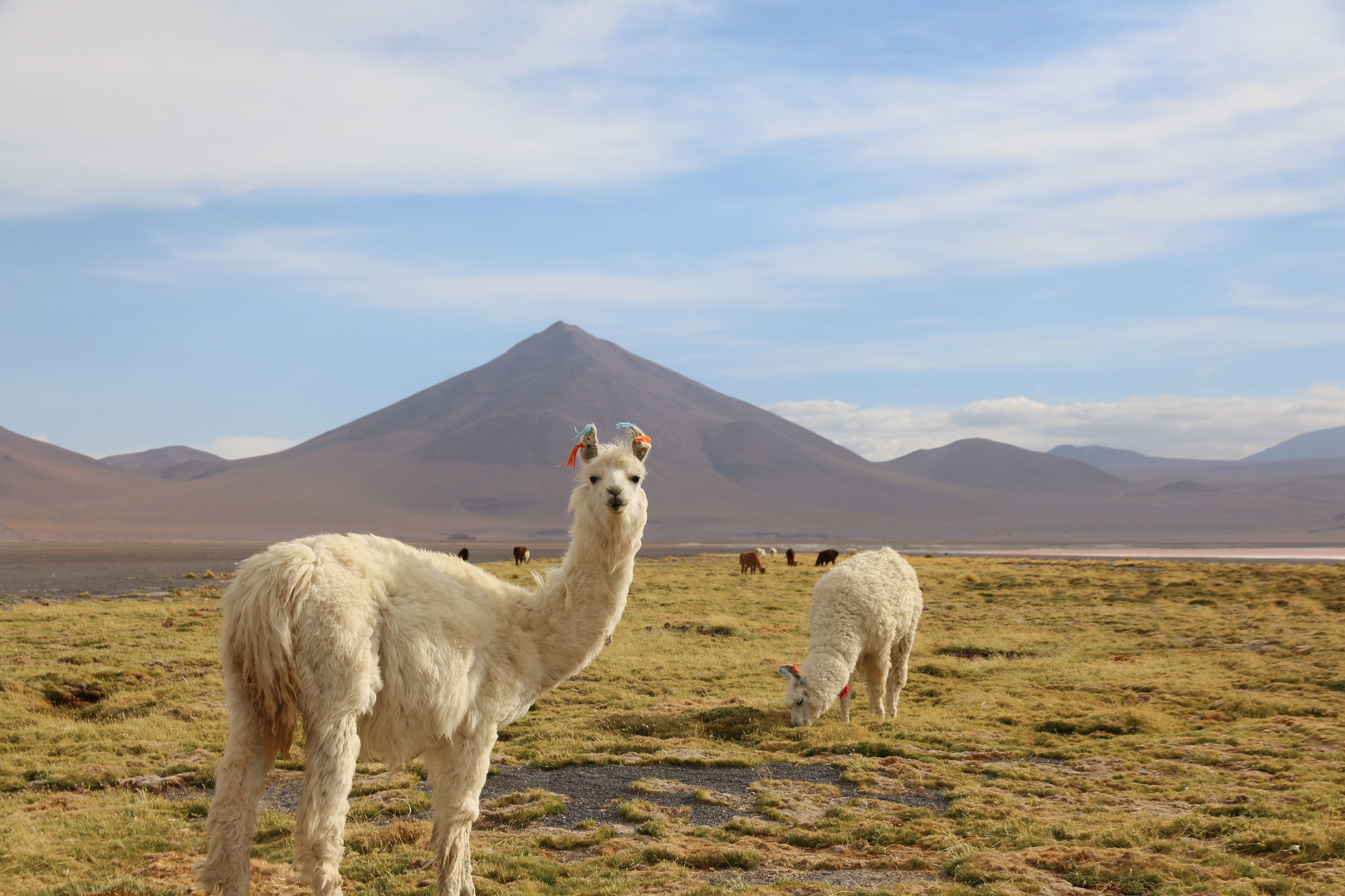 106 Uyuni