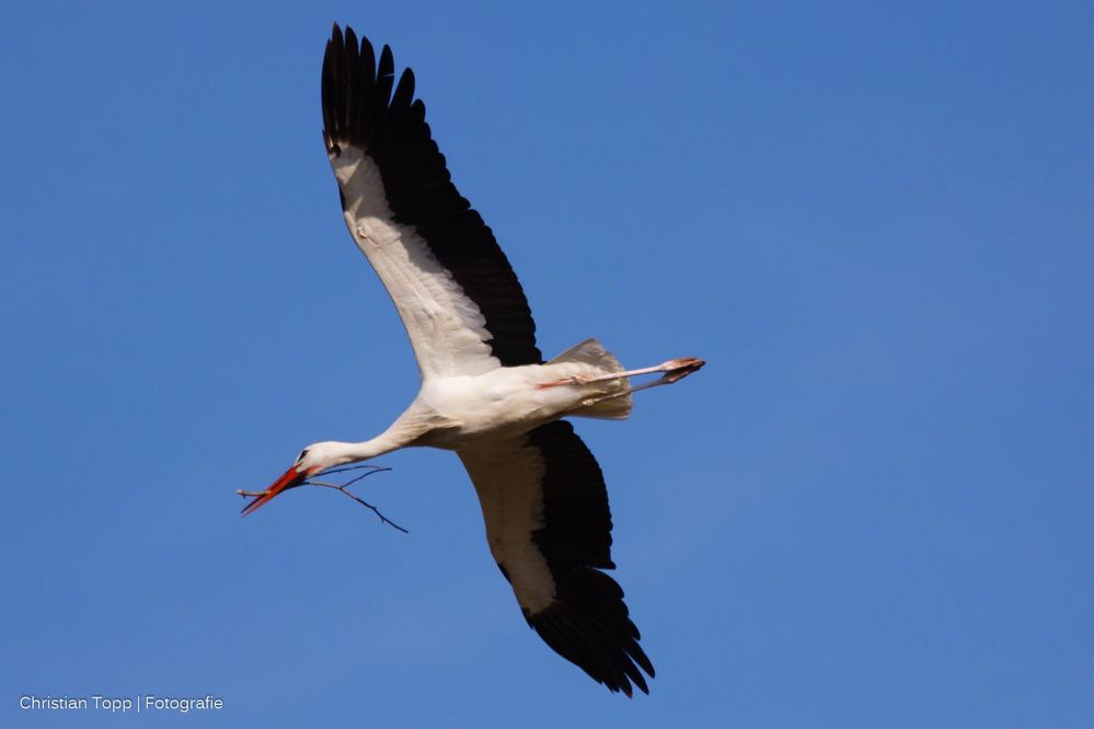 #106/365 Überflug