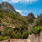 107-Mallorca-07-2014-5289