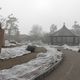 Eingepackter Rosengarten im Nebel