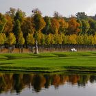 (108) Herbstlicher Schloßgarten