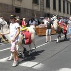 108. Wandertag in Fulda am 29.06.2008 (4)