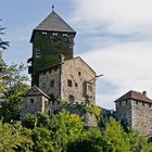 (109) Schloss Branzoll