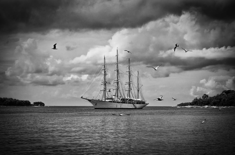 Sea Cloud von Demuth Manuel 