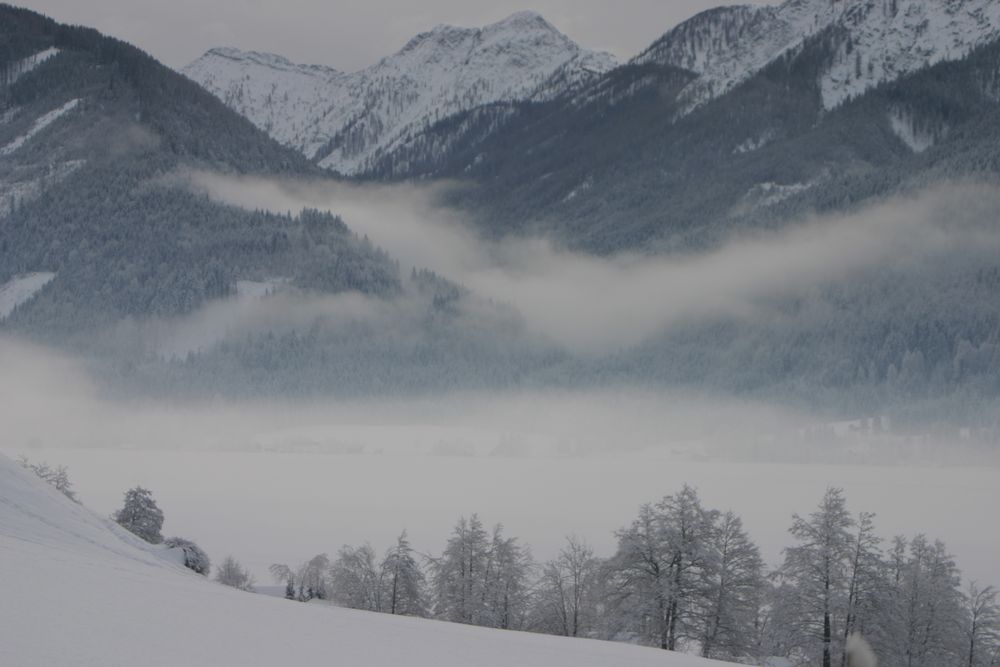 Morgenstimmung am See von Karin Pauw