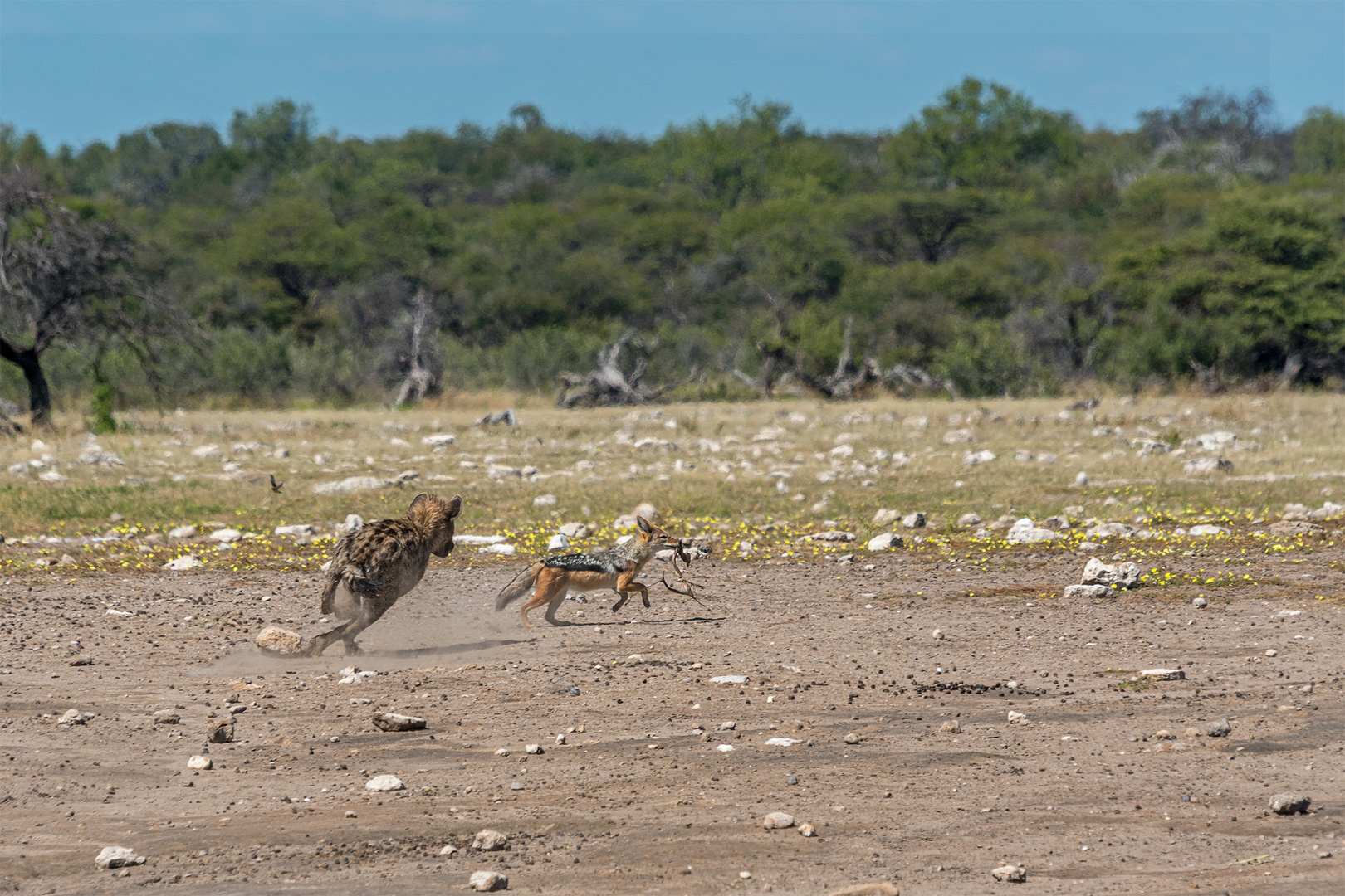 10_Erinnerung an Namibia April 2017