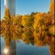 Goldener Herbst_in der Grostadt 