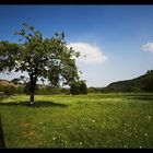 10mm Baum auf Wiese