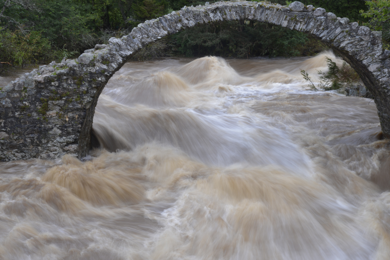 11-08-2014 Verso Loch Ness