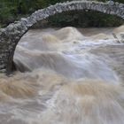 11-08-2014 Verso Loch Ness