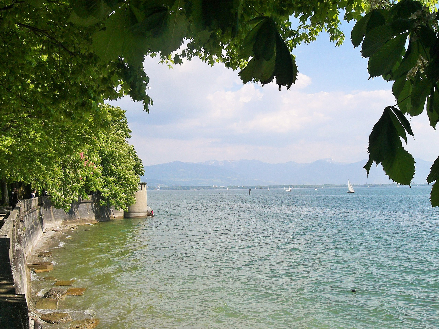 (11) Lindau-Bodensee 1