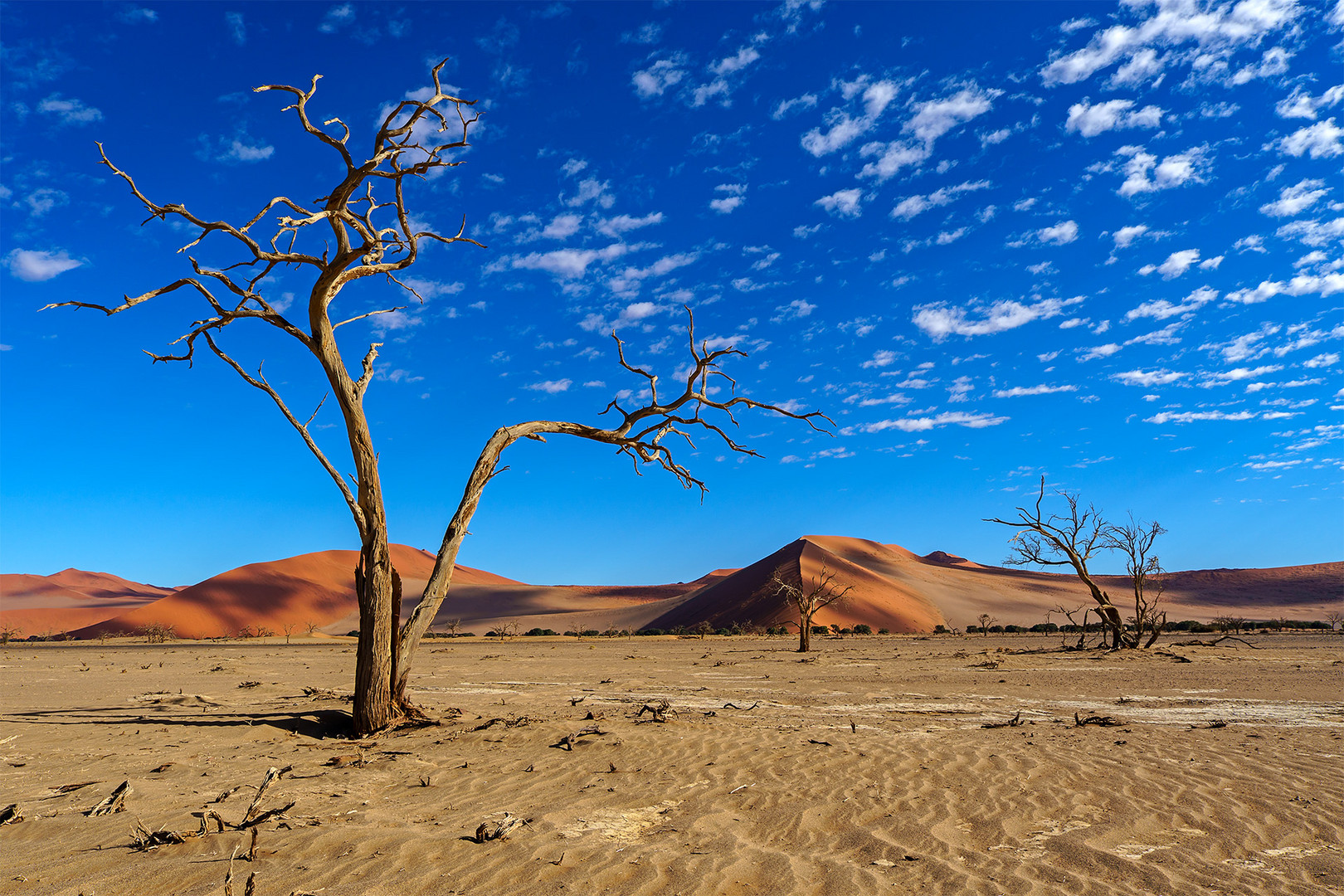 11. Namibia Wildlife Resorts Sesriem