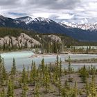 11. Tag: Athabasca River