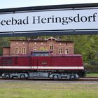 110 001 in Heringsdorf  -1