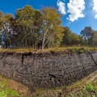 11000 Jahre Erdgeschichte in Ostfriesland