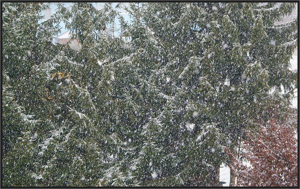 11.02.2011 und es schneit