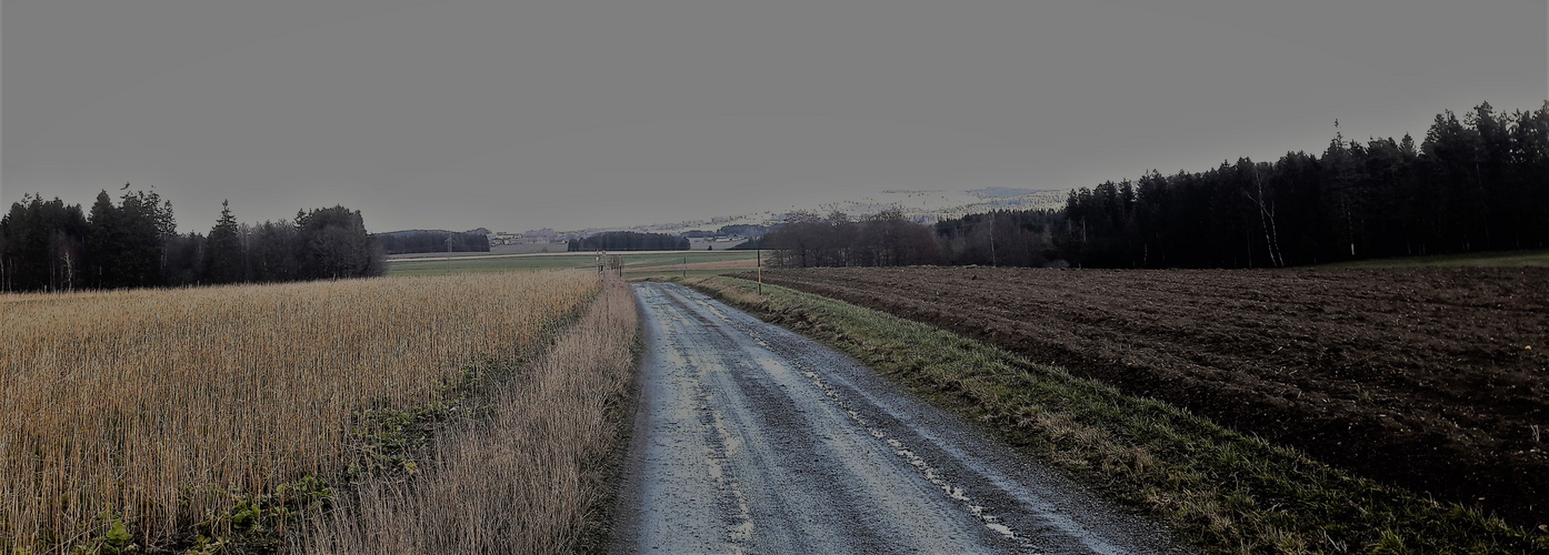 11.03.2020  Nässe und Feuchtigkeit auf und neben dem Wasserscheideweg