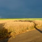 11.07.2023 um 20 Uhr 30 vor meiner Haustür auf den großen Regen gehofft, nichts wars, dafür...