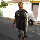 11/08/2012 Ricciola kg 6,280