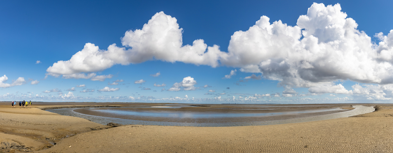 111 Dinge über das Wattenmeer, die man wissen muss