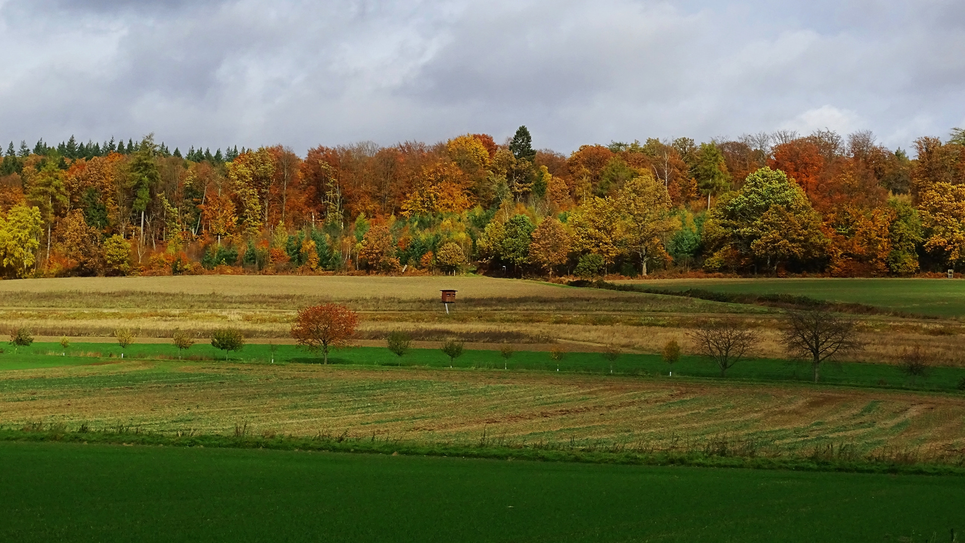 1.11.2021 - Ein schöner Herbsttag