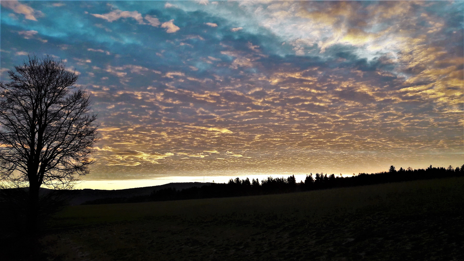 11.12.2019  Himmelsfarben am Morgen