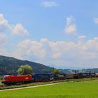 1116 188 vor Containerzug