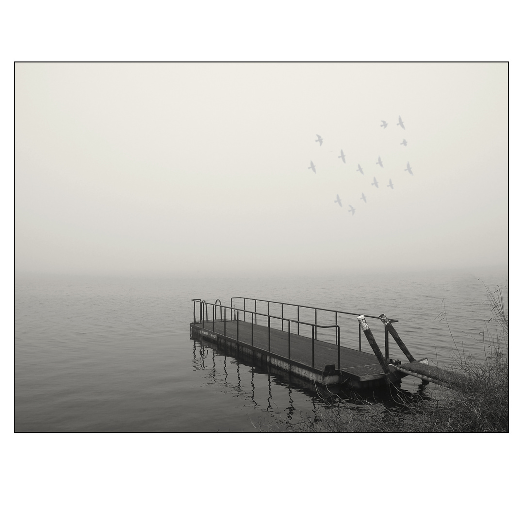 _1124480 Misty BirdsBW02