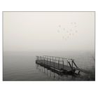 _1124480 Misty BirdsBW02