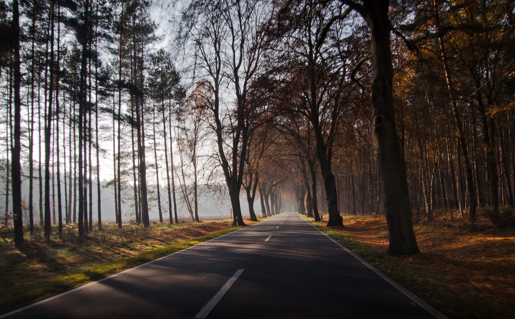 11:29 Uhr im Herbst