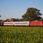 113 268 eilt mit dem D 2421 durchs Münsterland