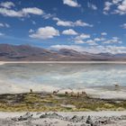 113 Uyuni