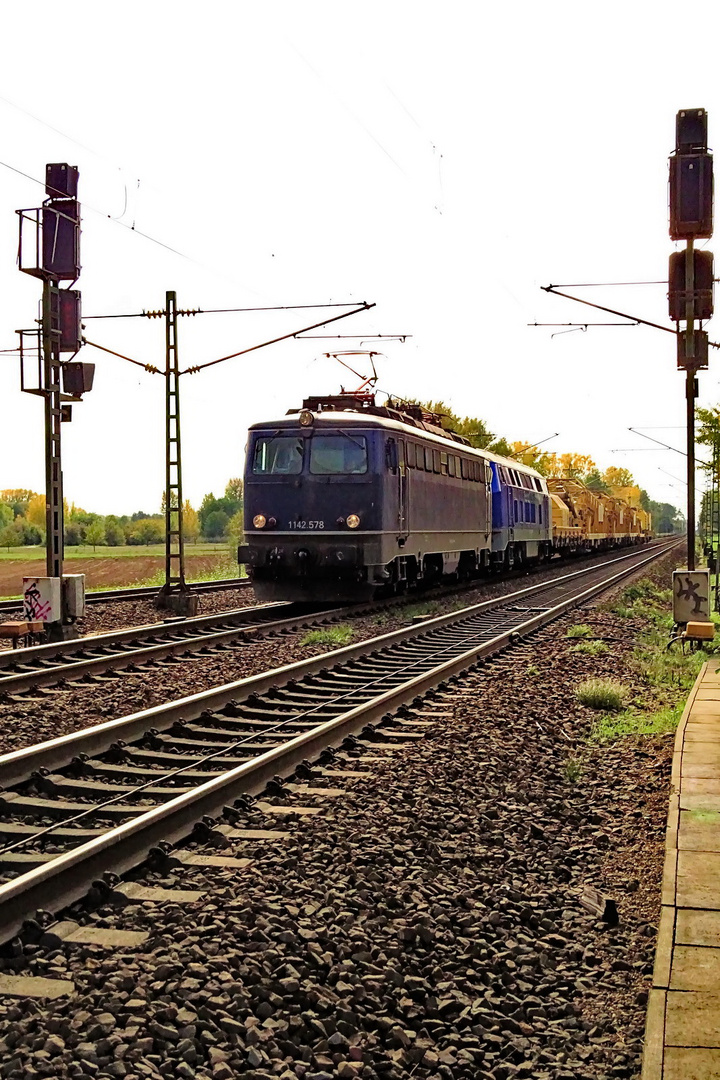 1142 578 und 217 019 des ESG Bietigheim- Bissingen