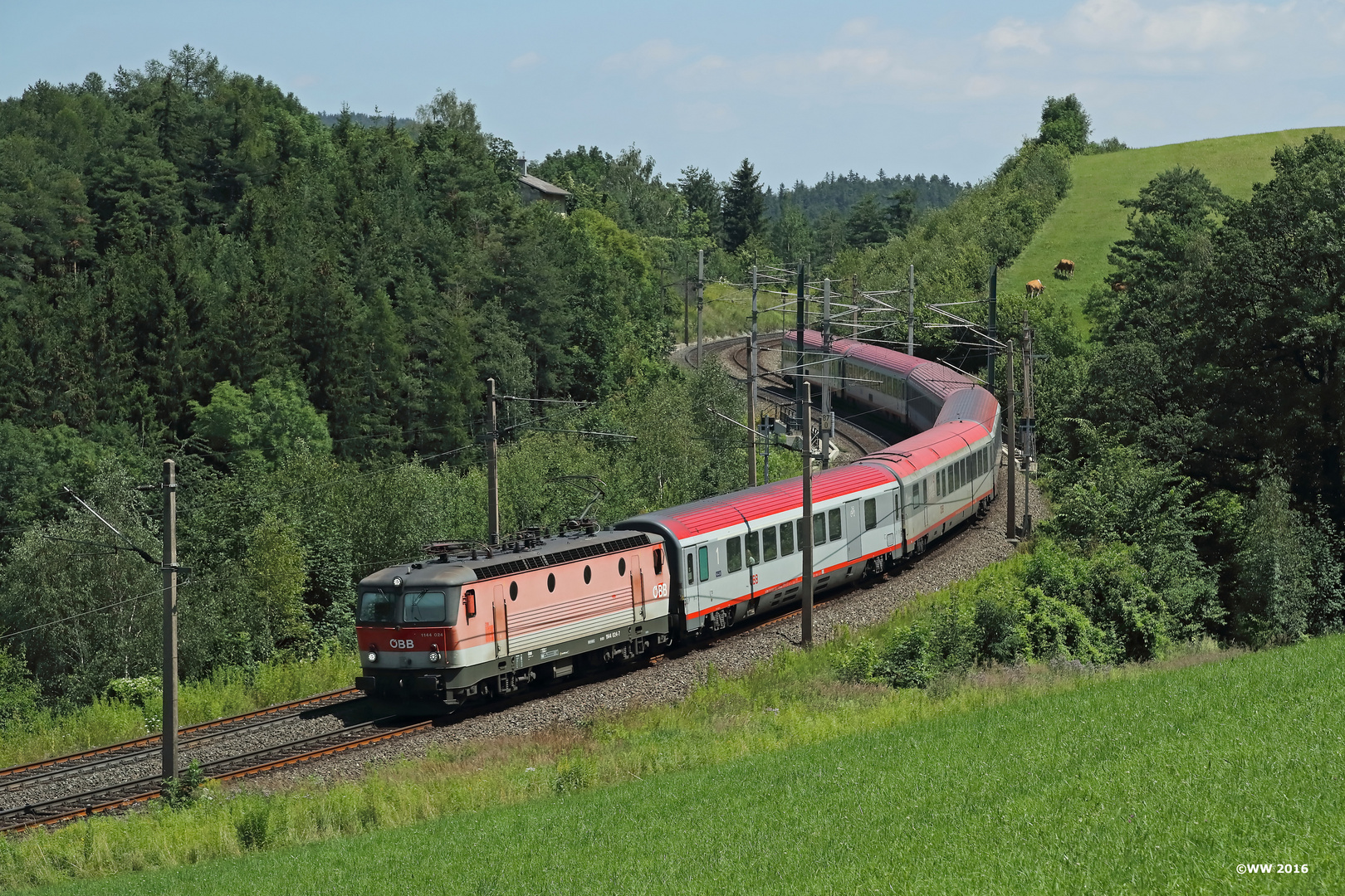 1144 024 an der Steinbauerwiese